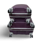 Samsonite Freeform 2-Piece Luggage Set  - Amethyst Purple